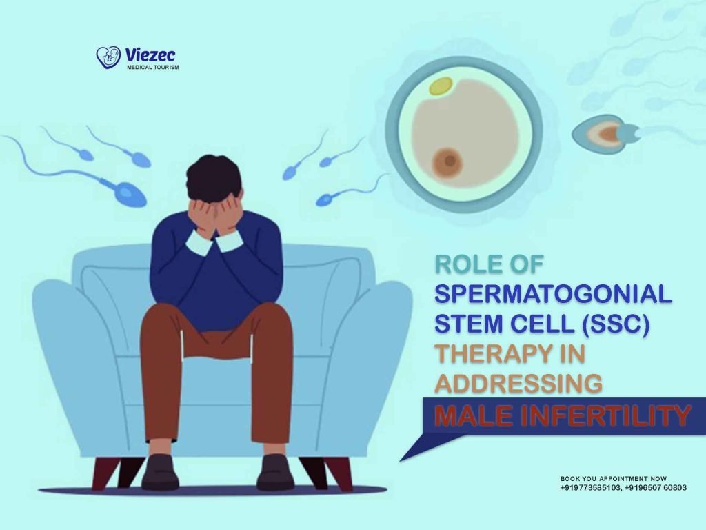 Spermatogonial Stem Cell