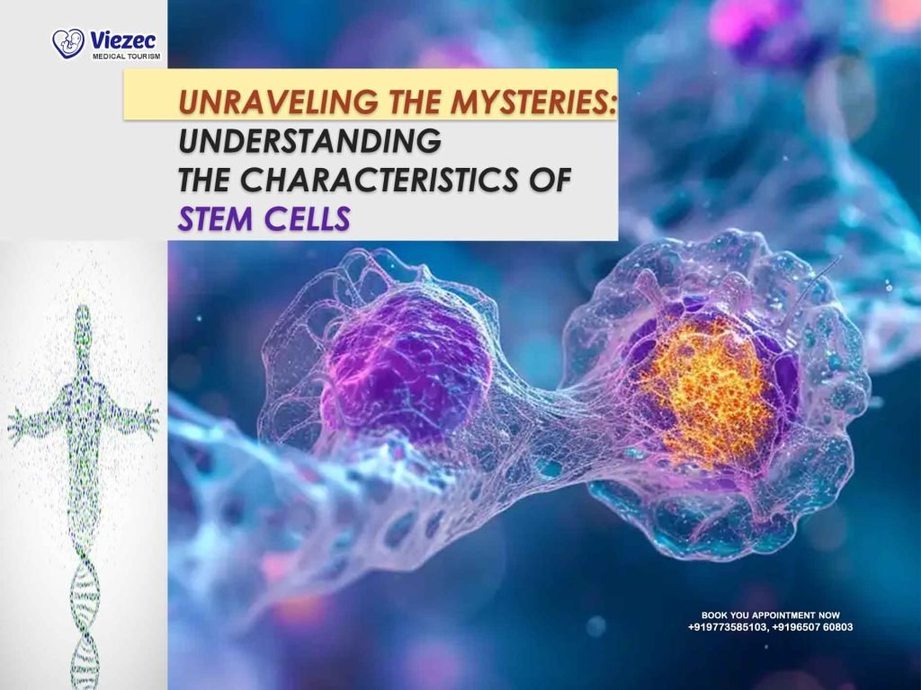 Unraveling the Mysteries: Understanding the Characteristics of Stem Cells