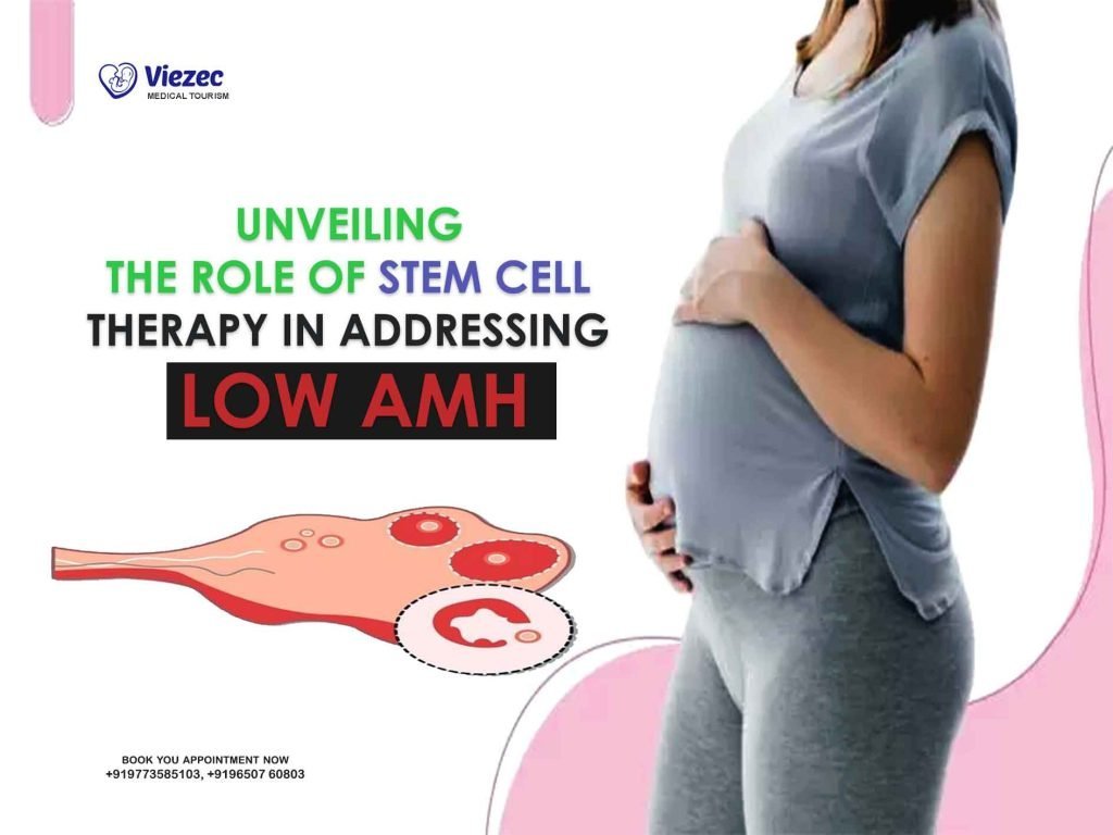 Unveiling the Role of Stem Cell Therapy in Addressing Low AMH