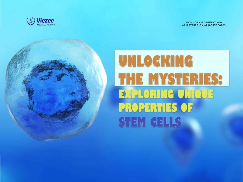 unique properties of stem cells