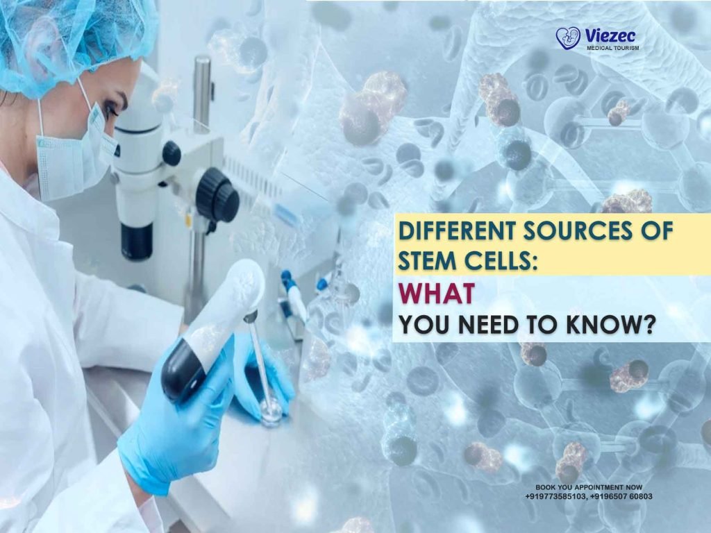 Different Sources of Stem Cells: What You Need to Know