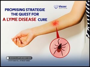 Lyme Disease Cure