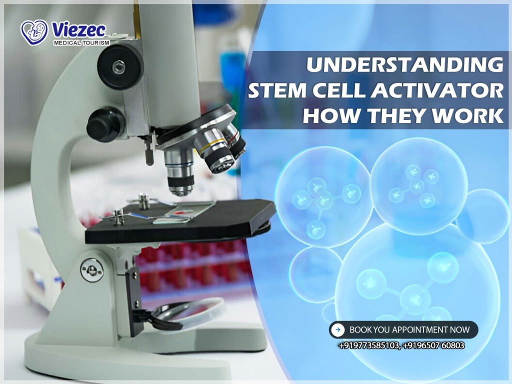 Understanding Stem Cell Activator : How They Work