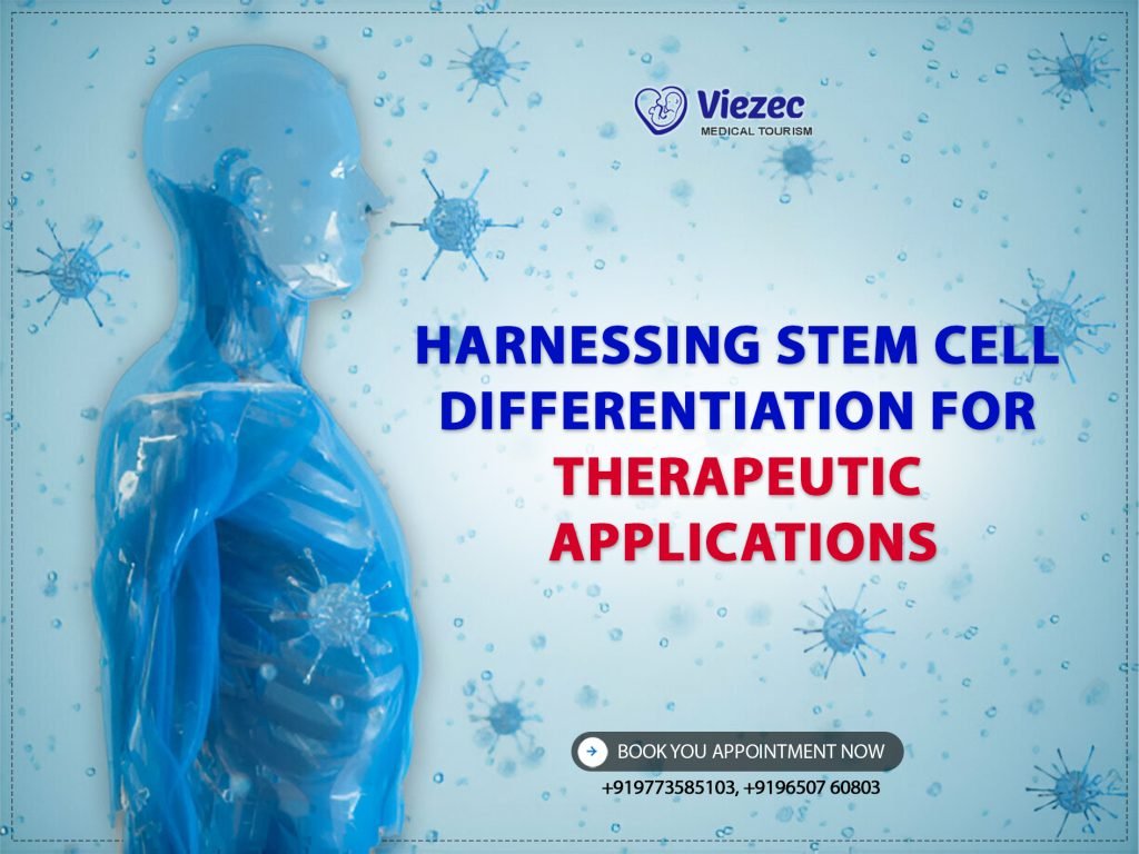 Stem Cell Differentiation