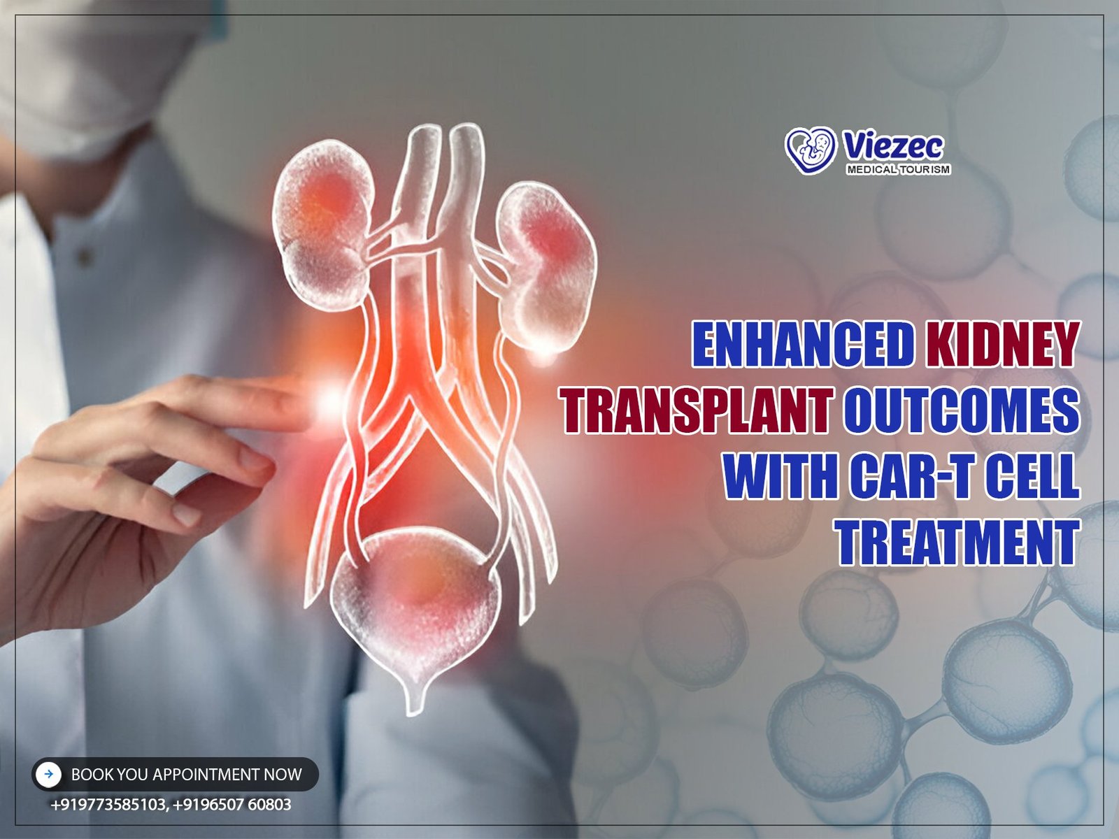 Kidney-Transplant