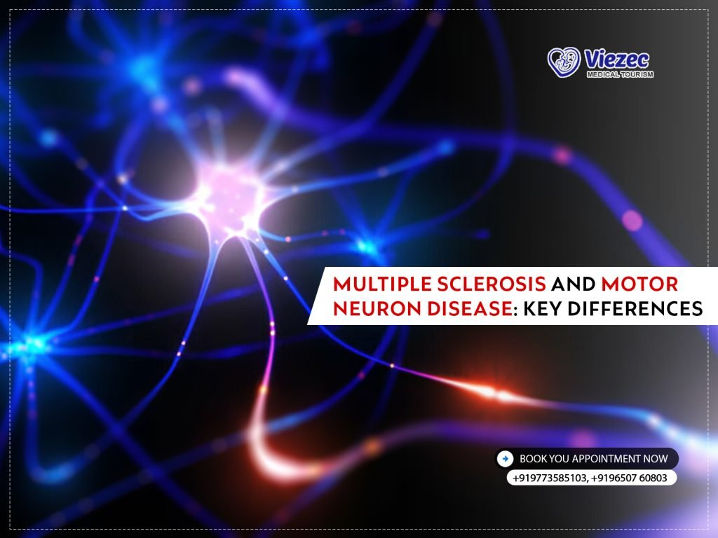 Multiple Sclerosis and Motor Neuron Disease Key Differences