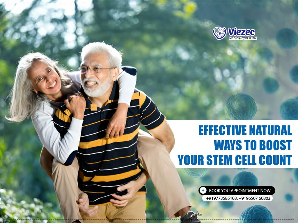 Effective Natural Ways to Boost Your Stem Cell Count