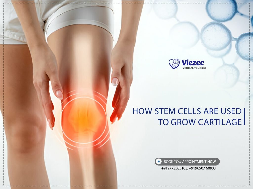 How Stem Cells Are Used to Grow Cartilage