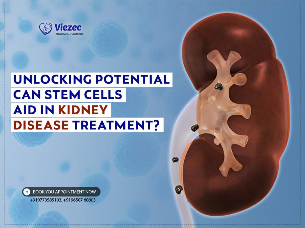 Kidney Disease Treatment