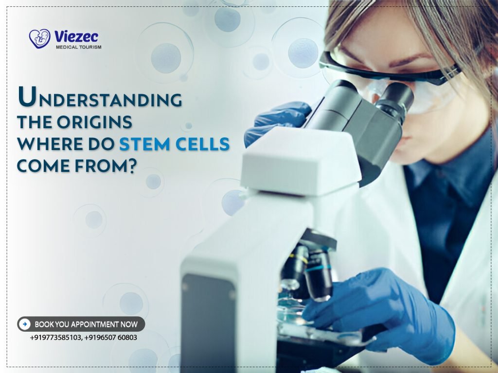 Where-Do-Stem-Cells-Come-From