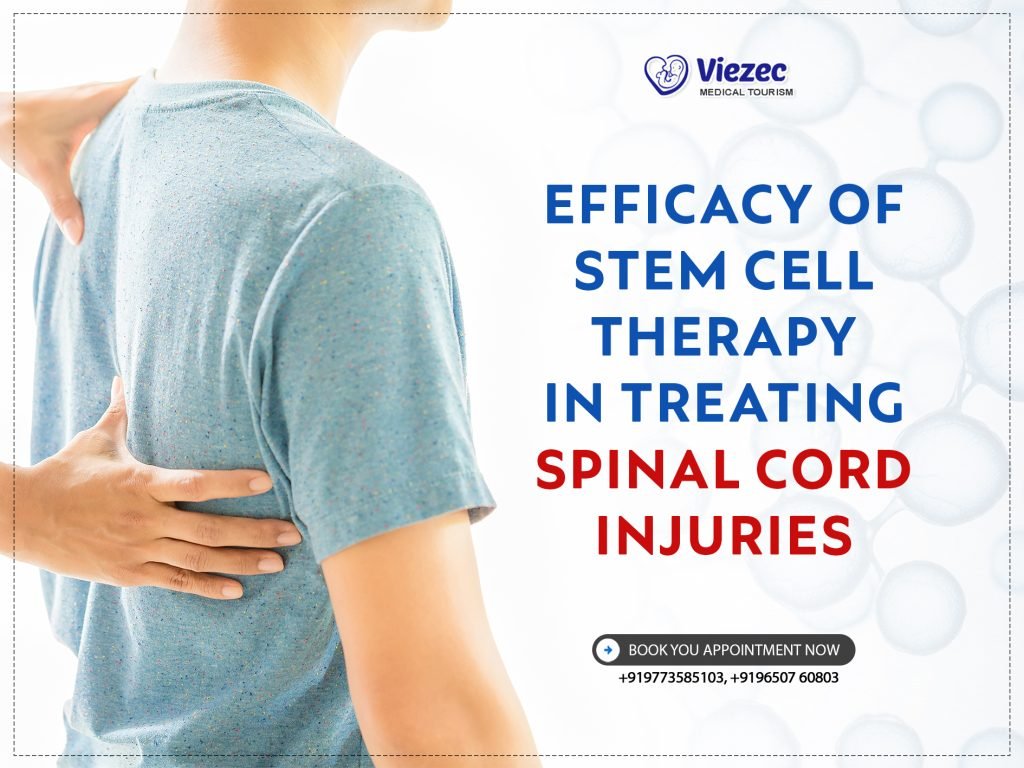 Efficacy of Stem Cell Therapy in Treating Spinal Cord Injuries