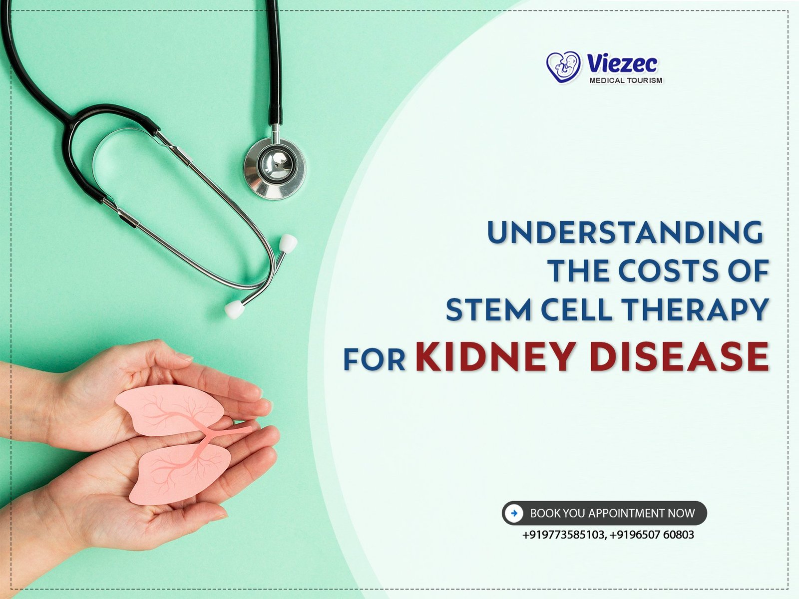 Understanding the Costs of Stem Cell Therapy for Kidney Disease