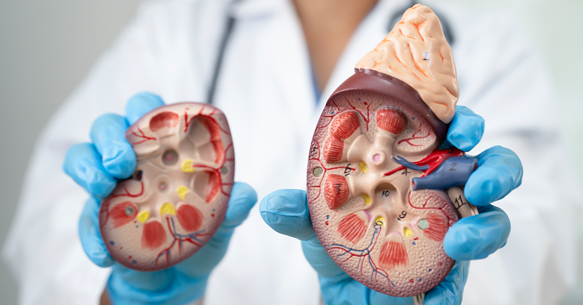 diabetic nephropathy treatment illustrative image