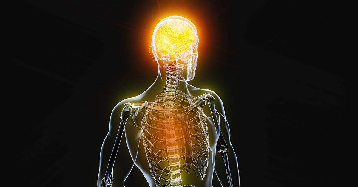 In image appearing encephalomyelitis