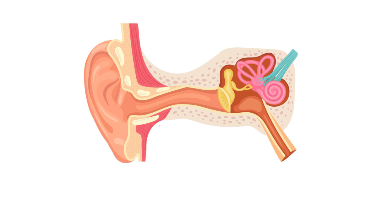 an illustrative image of sensorineural