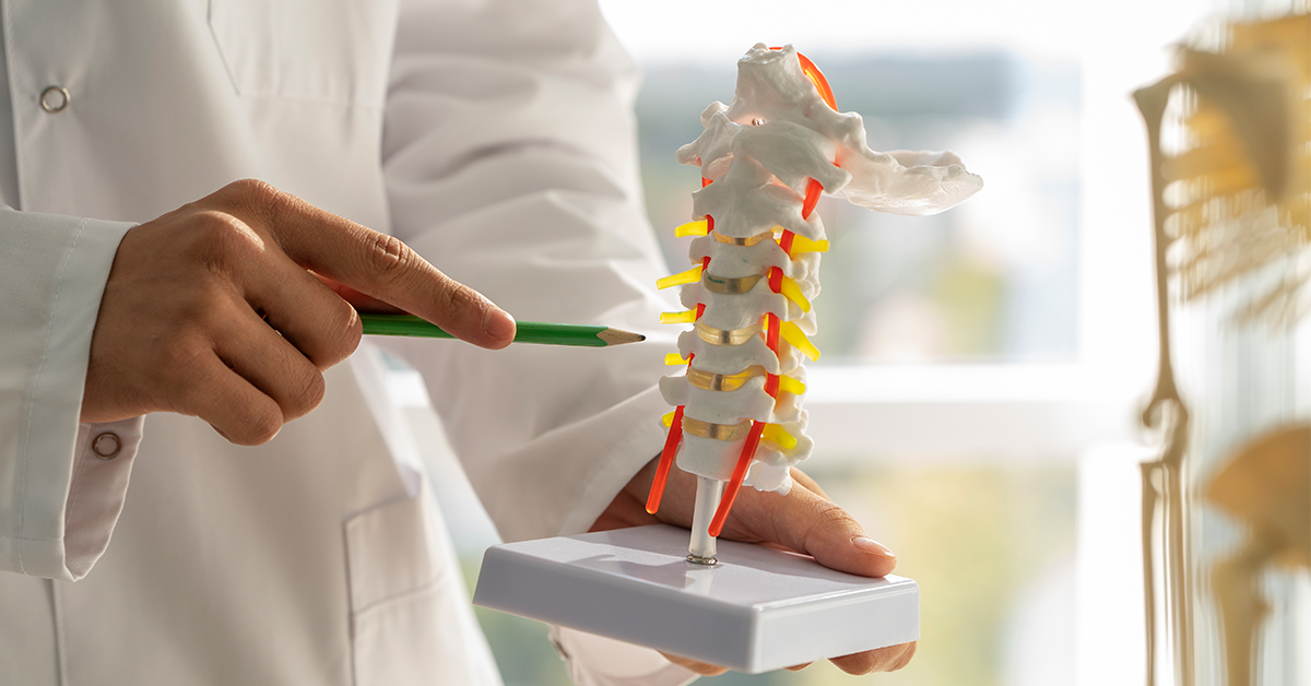 illustration image of syringomyelia
