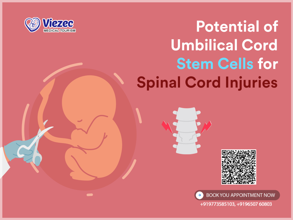Potential of Umbilical Cord Stem Cells for Spinal Cord Injuries