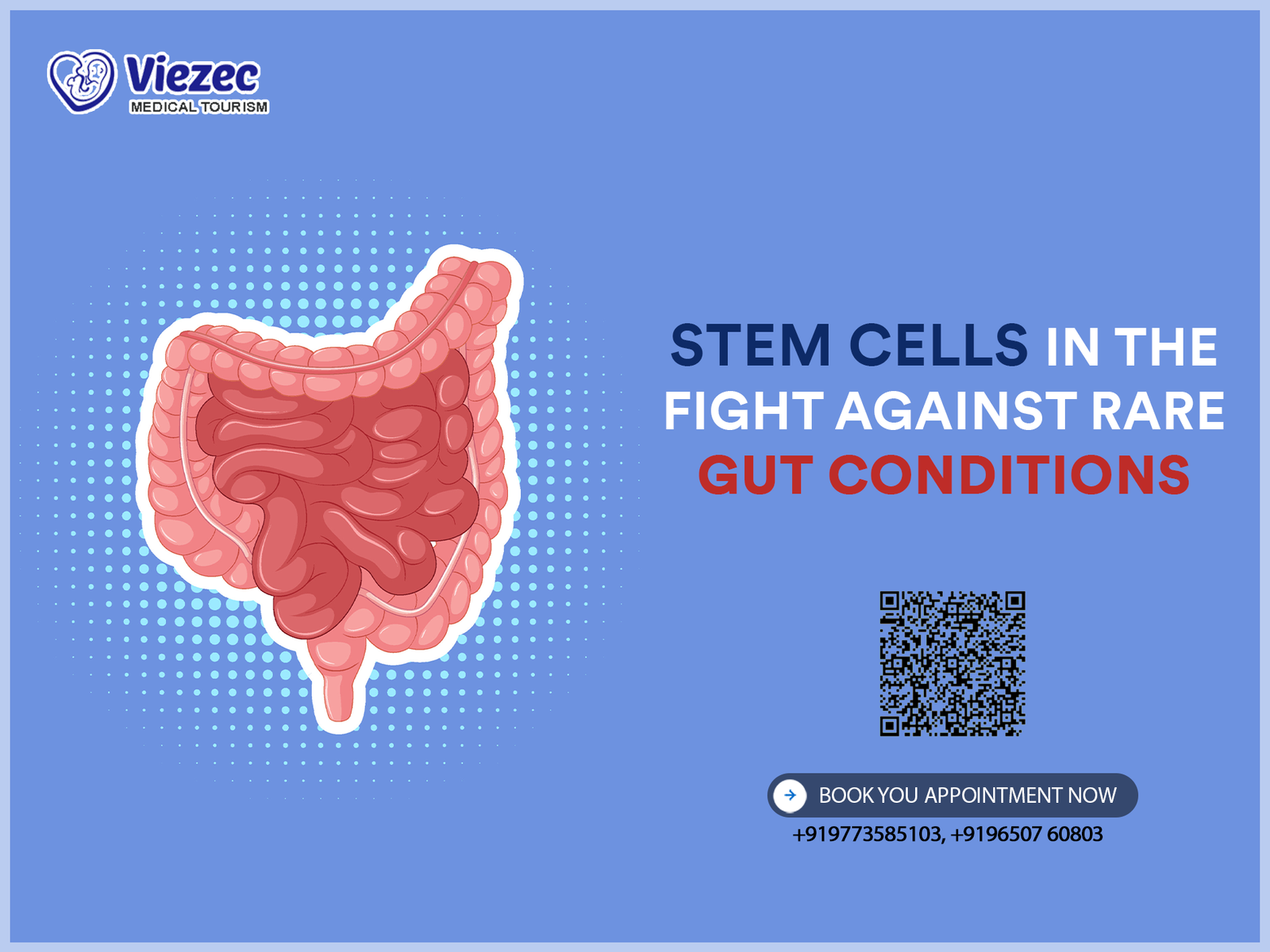 Gut Conditions
