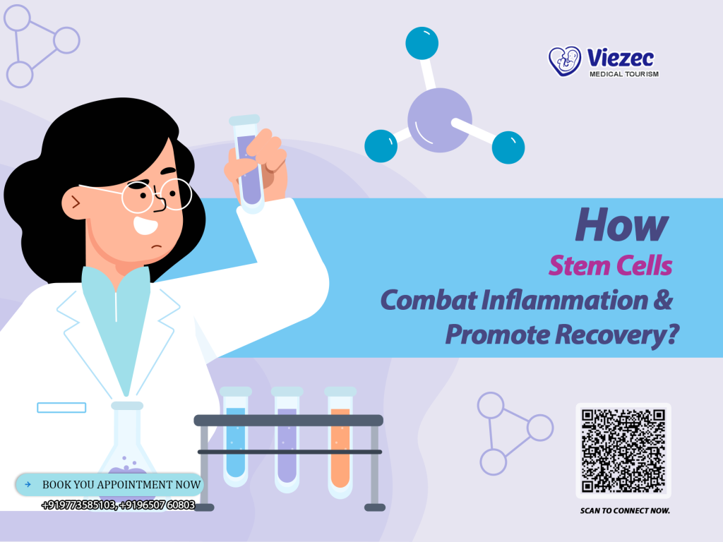 Stem cell therapy reducing inflammation and accelerating tissue recovery in regenerative medicine