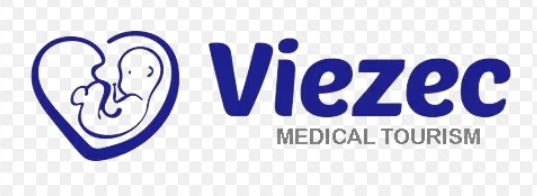 Viezec logo
