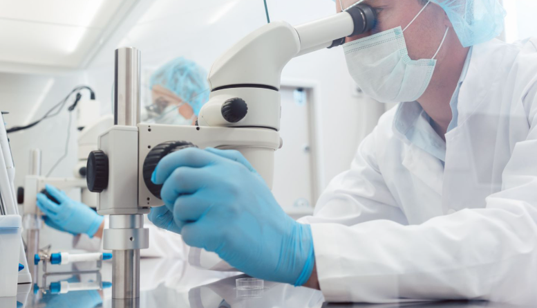 Stem Cell Centre of Excellence