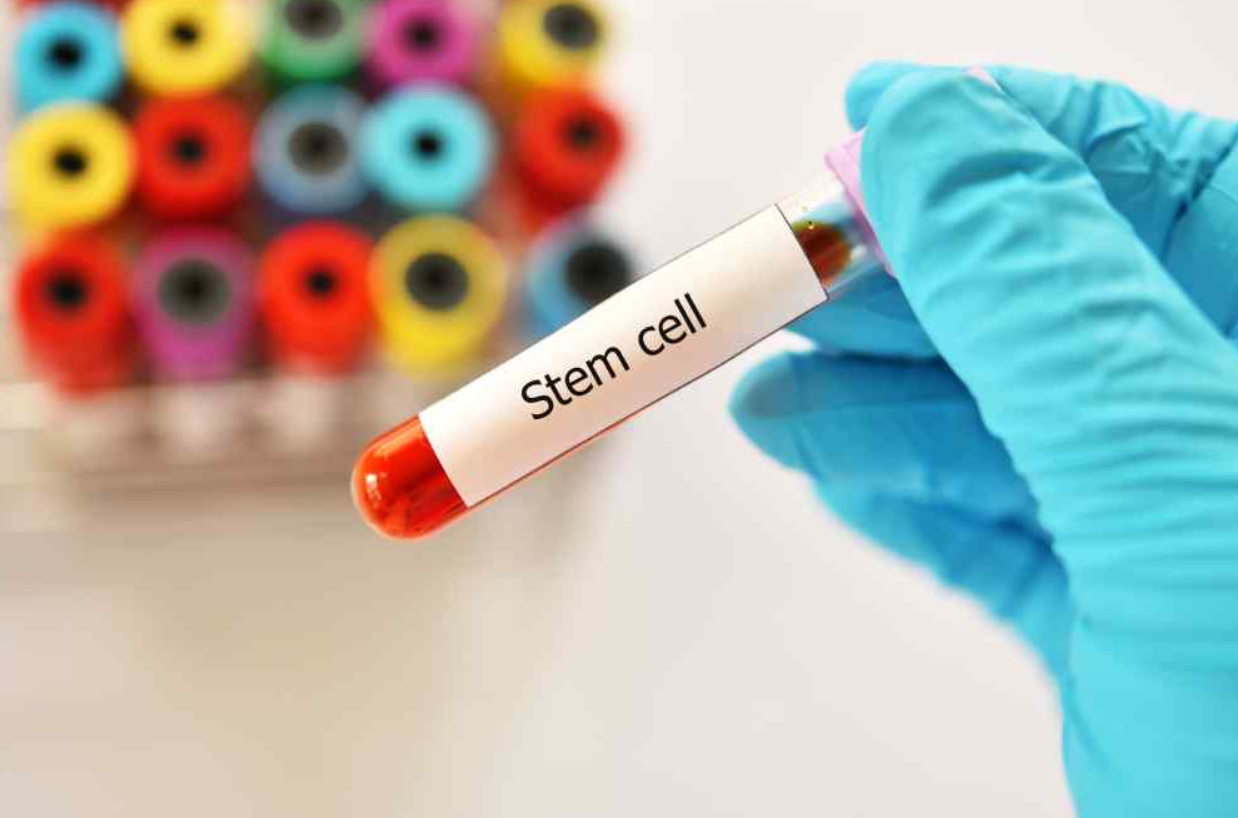 Patient Safety in Stem Cell Therapy