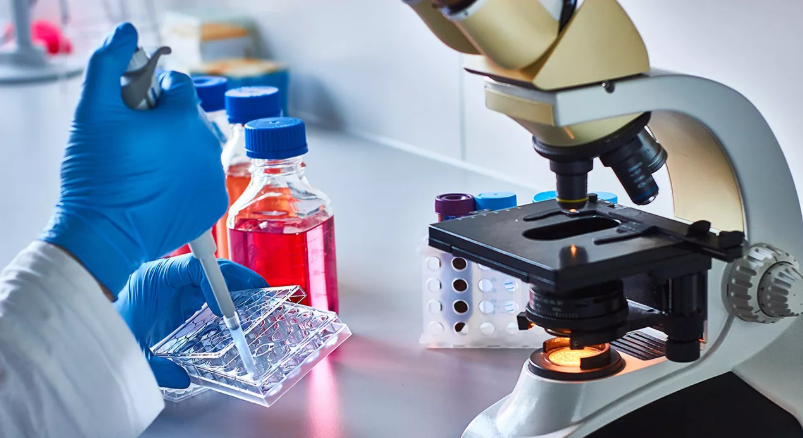 Quality Standards Lab