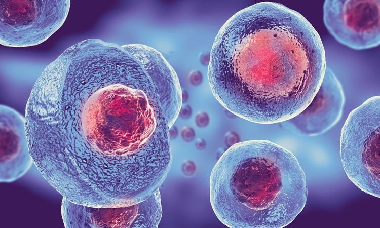 Advantages of Stem Cell Therapy