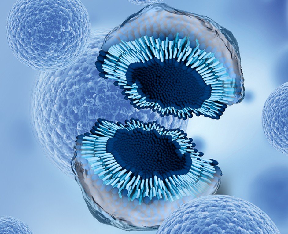 Illustration of cellular regeneration via exosomes
