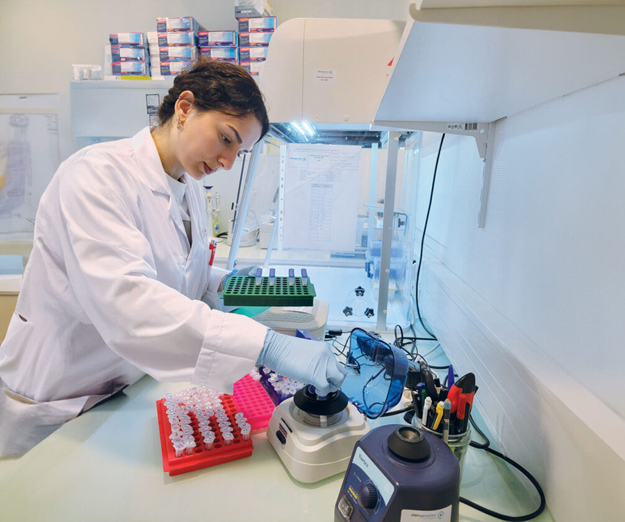 Stem Cell Treatment Timeline